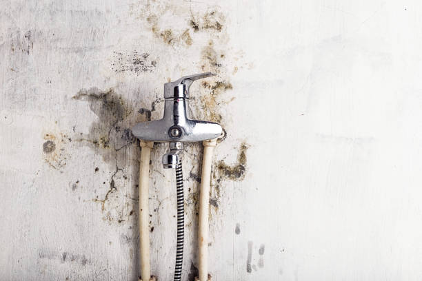 Best Emergency Mold Removal  in Moses Lake, WA