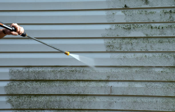 Best Mold Damage Repair  in Moses Lake, WA