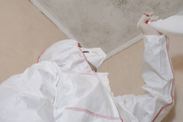 Best Mold Remediation  in Moses Lake, WA