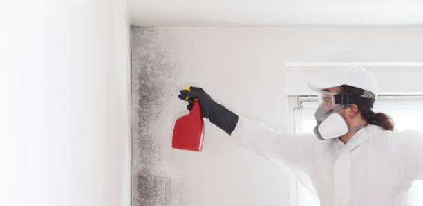 Best Mold Cleaning Services  in Moses Lake, WA